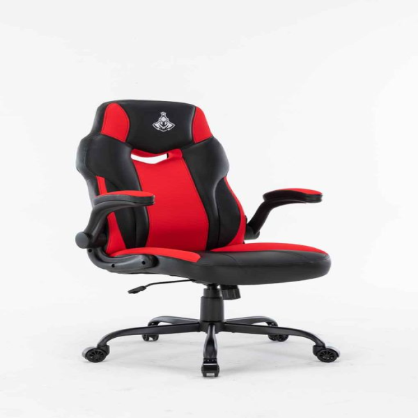 Ghế Warrior Raider Series WGC203