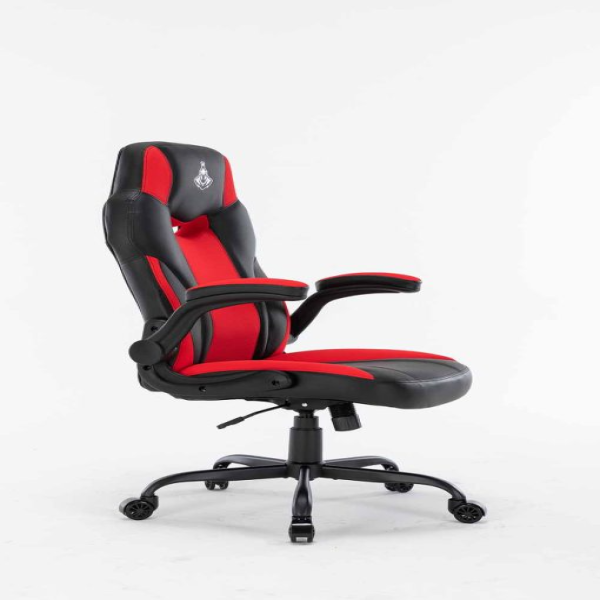 Ghế Warrior Raider Series WGC203