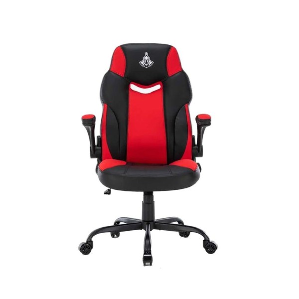 Ghế Warrior Raider Series WGC203